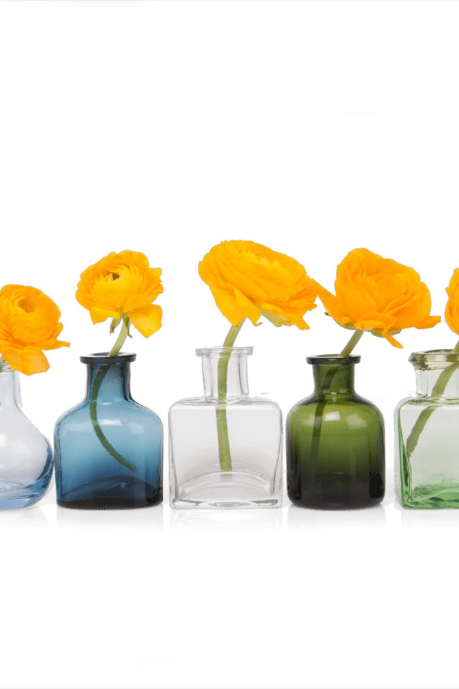 Chive Loft glass bud vase set in five shapes and colors, each holding a single orange ranunculus.