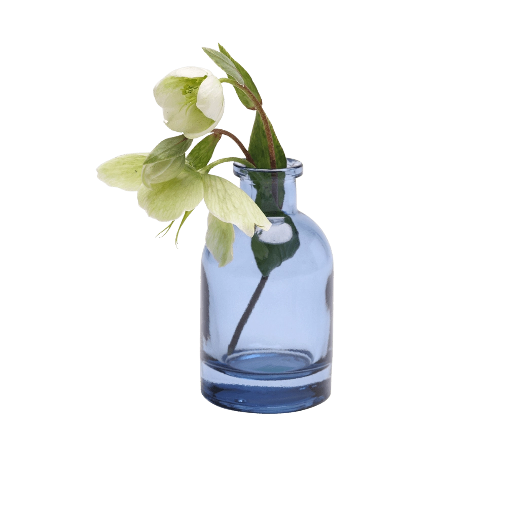 Chive Loft glass bud vase in medium blue, angled view with a white hellebore bloom and leaves.