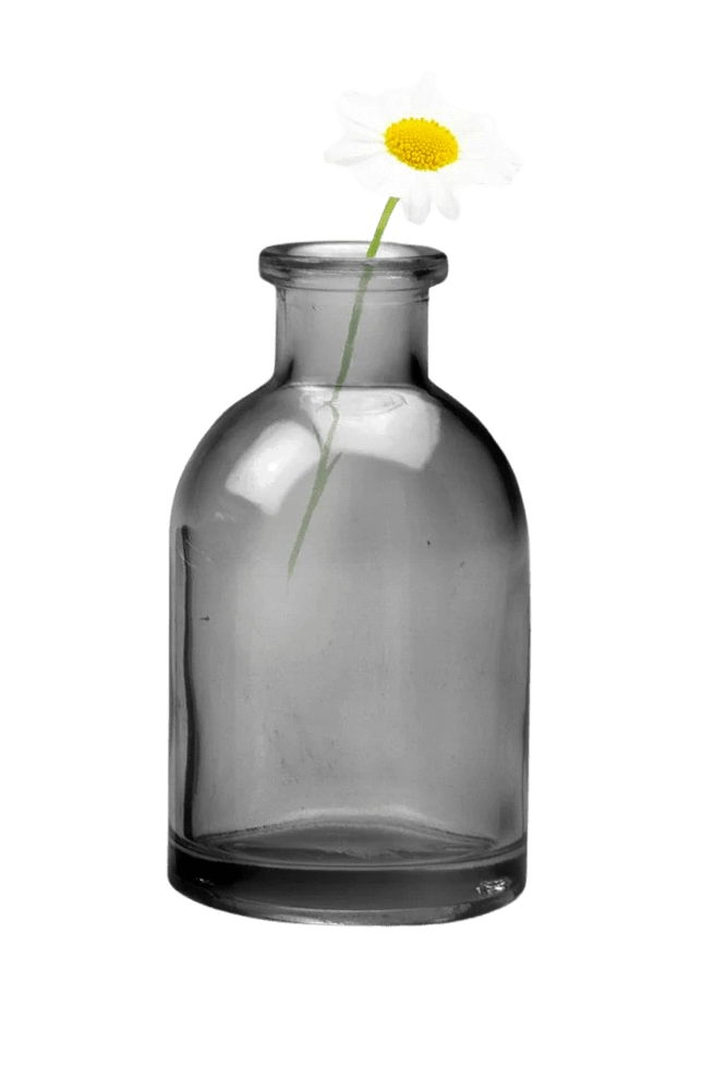 Chive Loft glass bud vase in smoke grey styled with a single white daisy bloom.