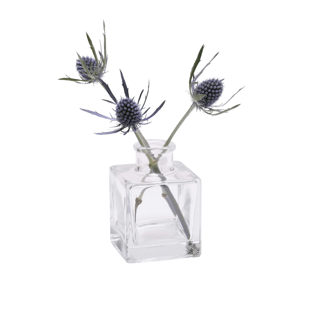Chive Loft cube glass bud vase in clear glass styled with two blue thistle stems.