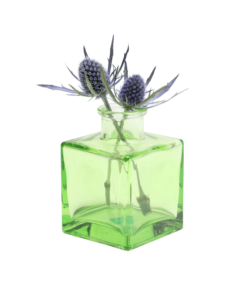 Chive Loft cube glass bud vase in green styled with two blue thistle stems.