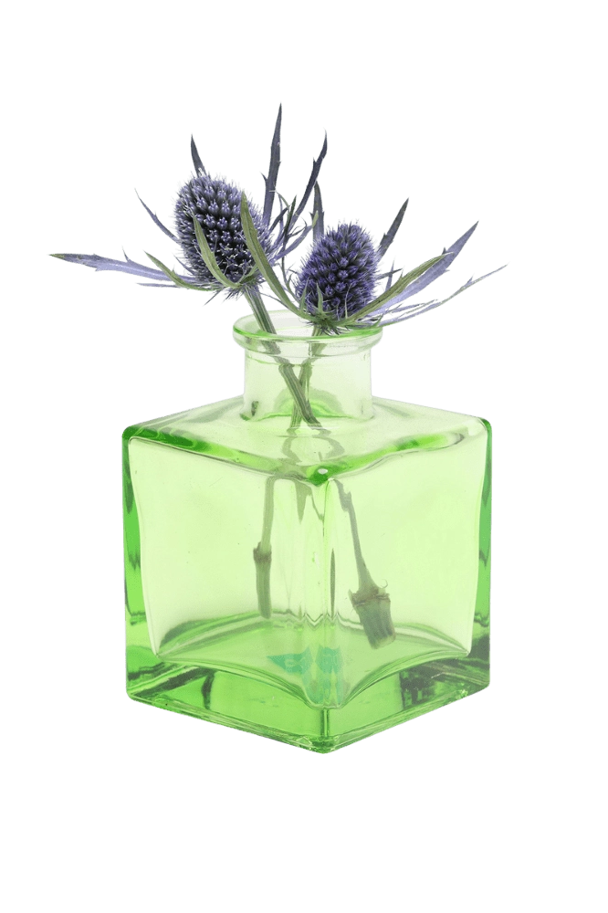 Chive Loft cube glass bud vase in green styled with two blue thistle stems.