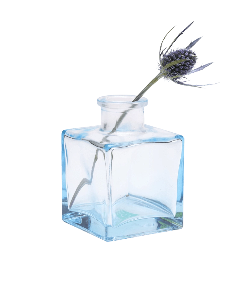 Chive Loft cube glass bud vase in light blue styled with a single blue thistle stem.