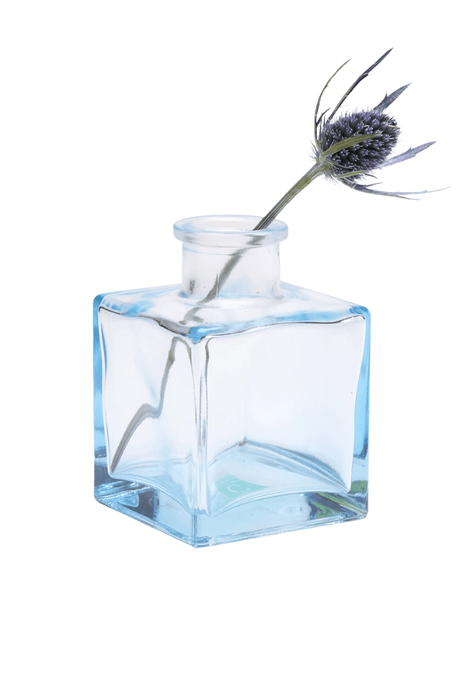 Chive Loft cube glass bud vase in light blue styled with a single blue thistle stem.