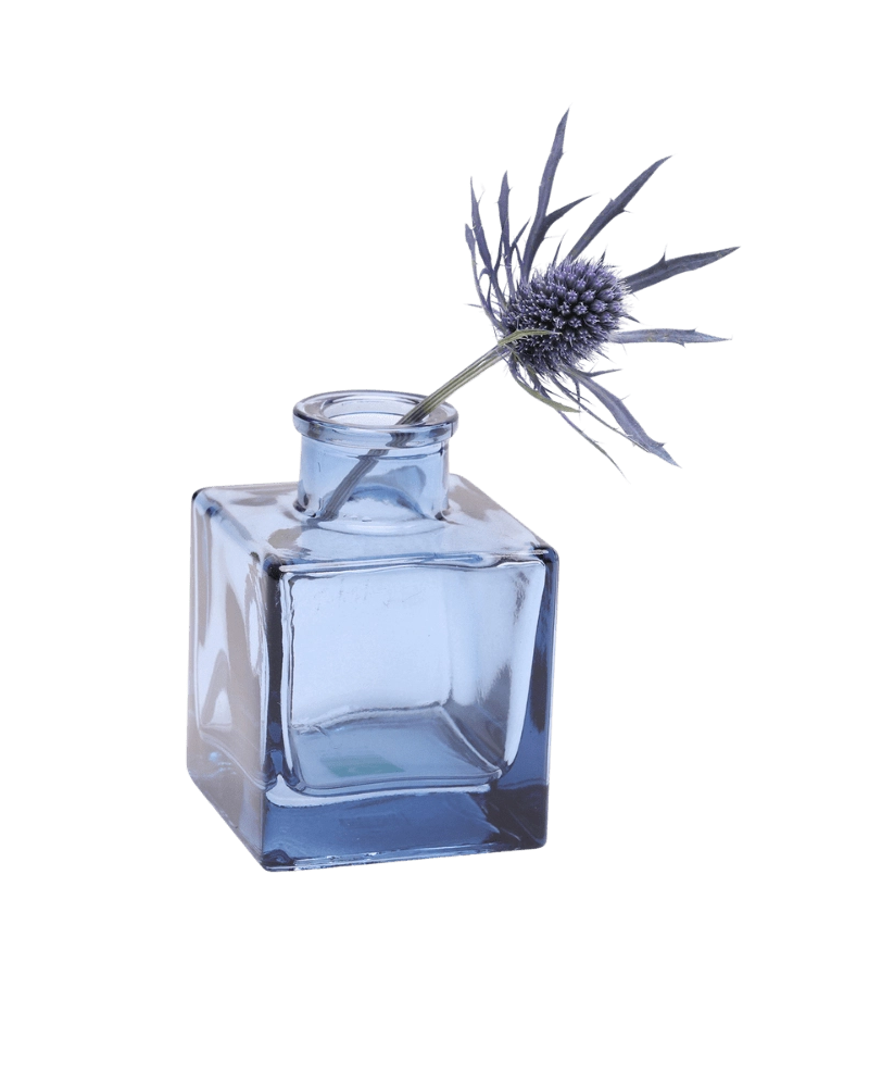 Chive Loft cube glass bud vase in medium blue styled with a single blue thistle stem.