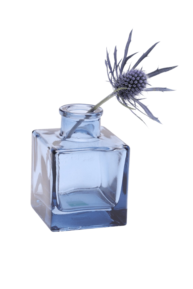 Chive Loft cube glass bud vase in medium blue styled with a single blue thistle stem.