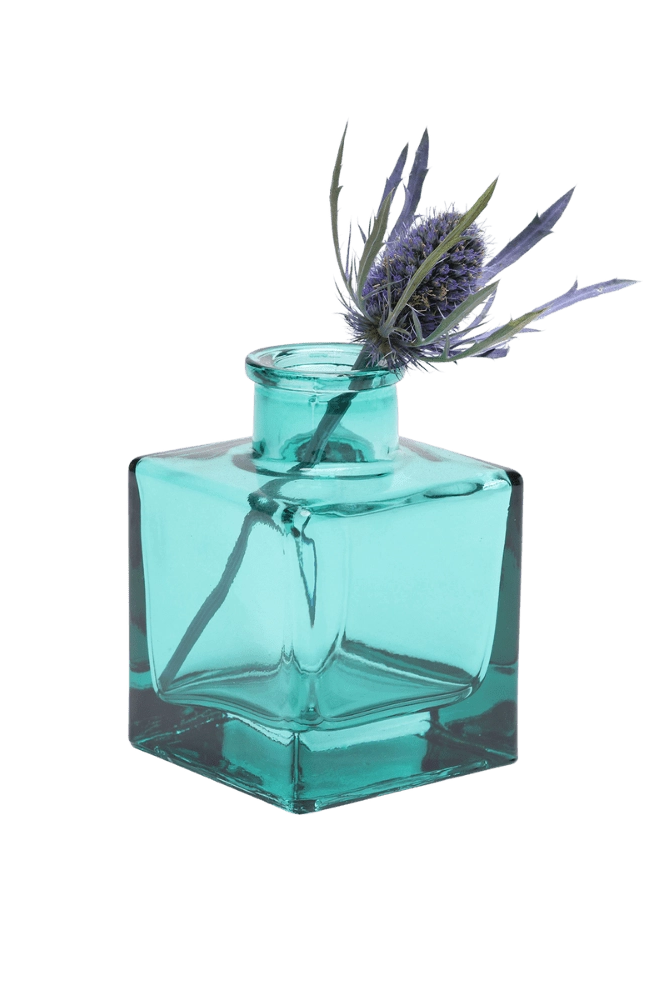 Chive Loft cube glass bud vase in teal styled with a single blue thistle stem.