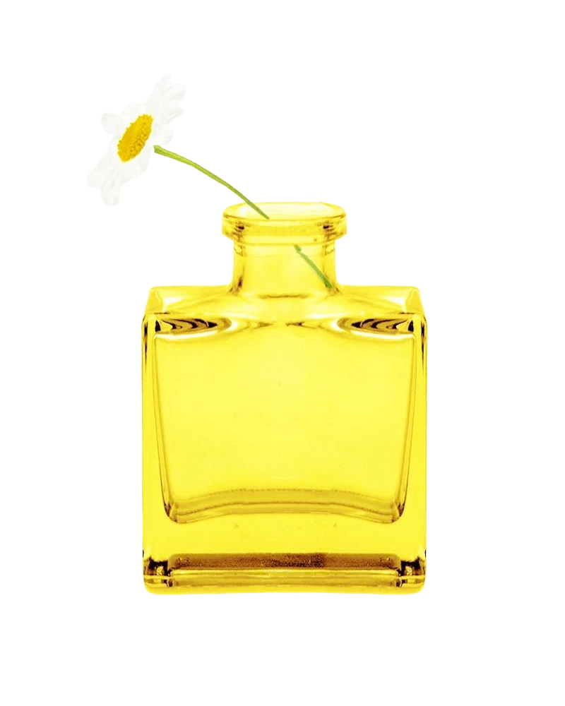 Chive Loft cube glass bud vase in yellow styled with a single white daisy bloom.