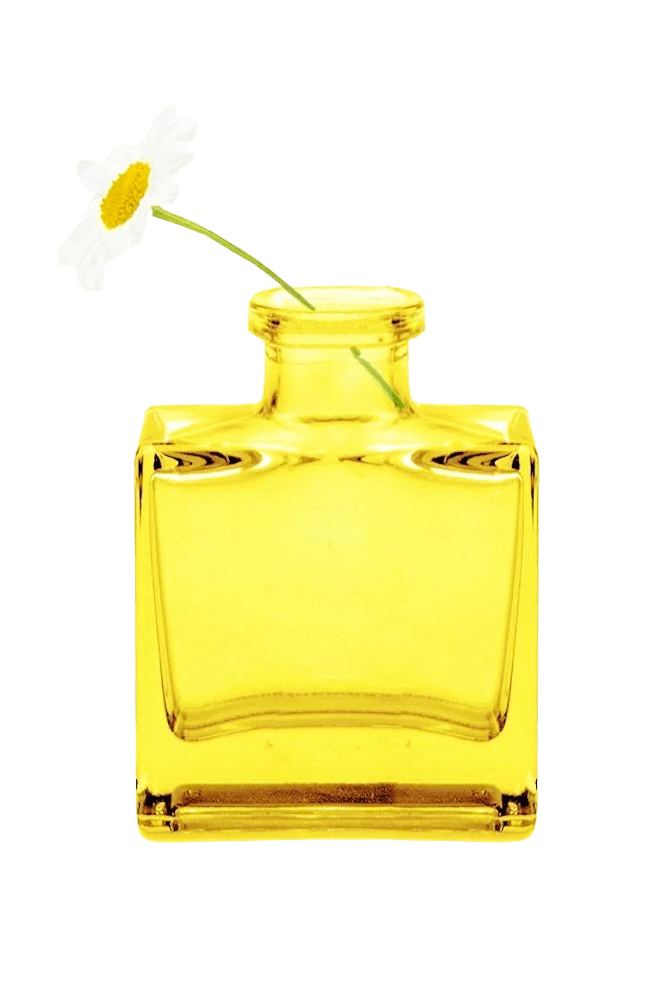 Chive Loft cube glass bud vase in yellow styled with a single white daisy bloom.