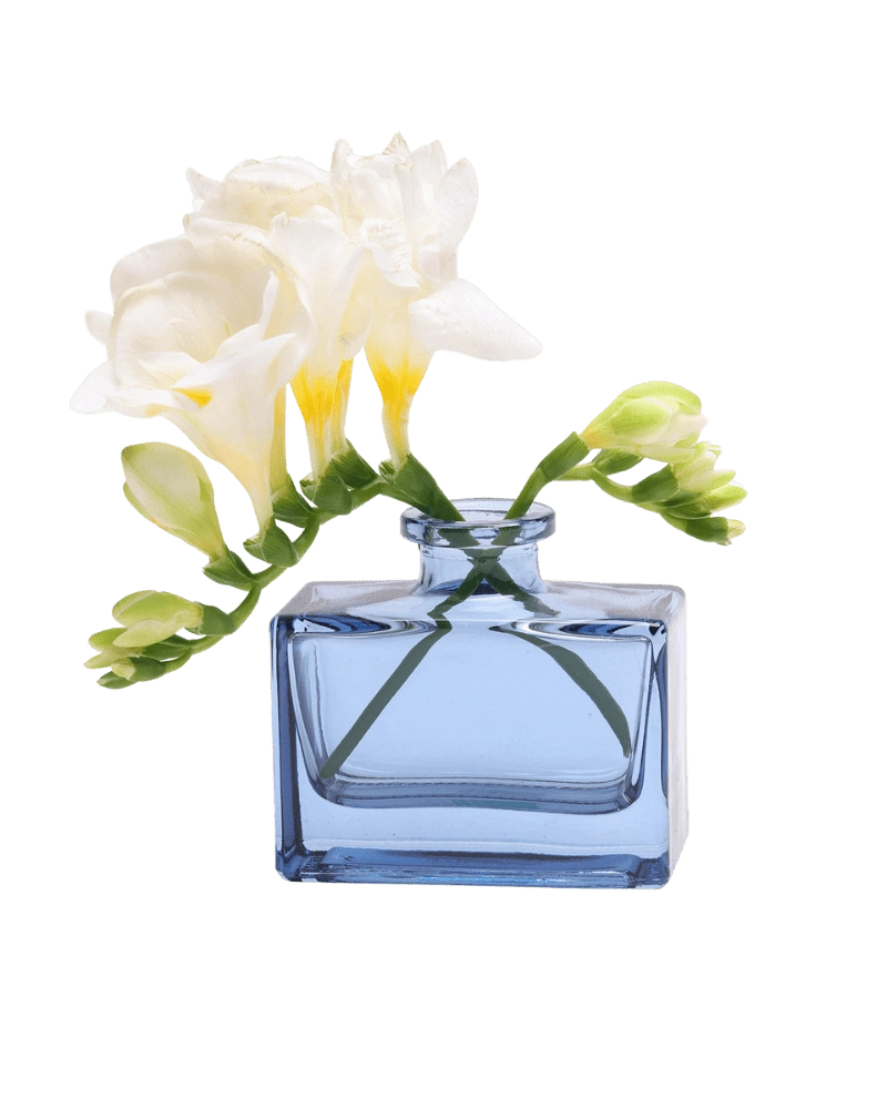 Chive Loft square glass bud vase in blue-grey styled with a stem of white freesia blooms.