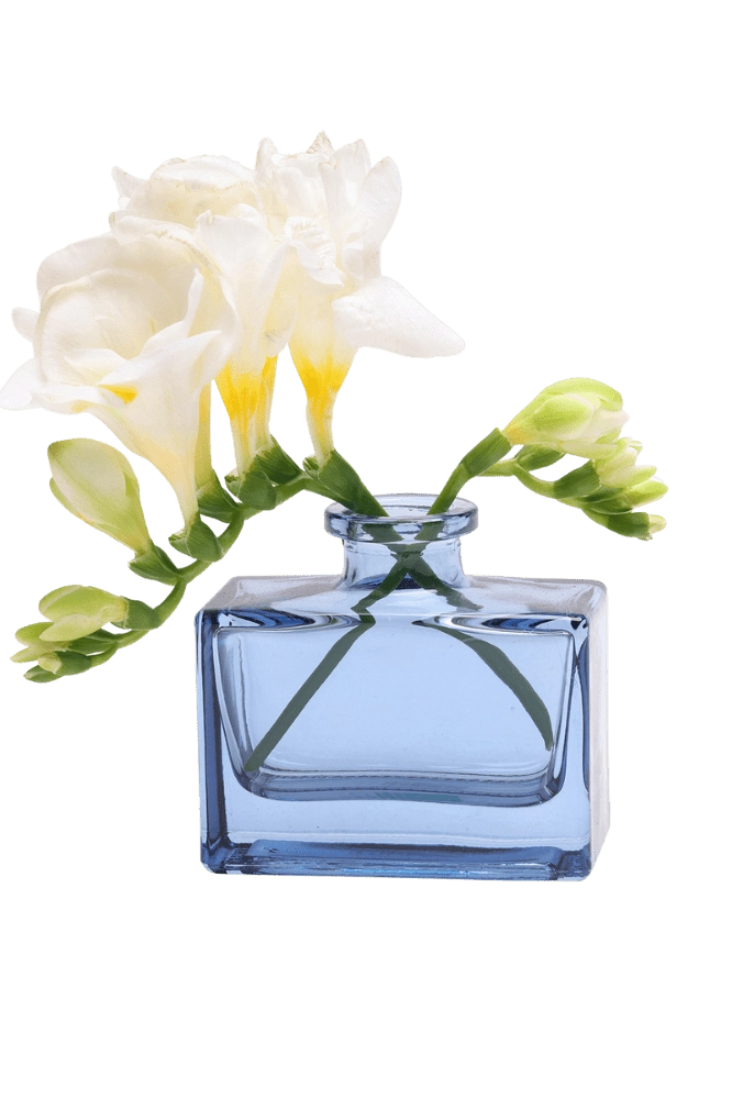 Chive Loft square glass bud vase in blue-grey styled with a stem of white freesia blooms.