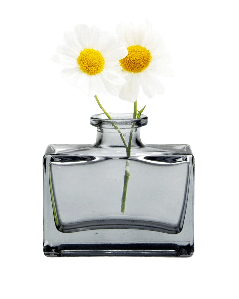 Chive Loft square glass bud vase in smoke grey styled with two small white daisy blooms.