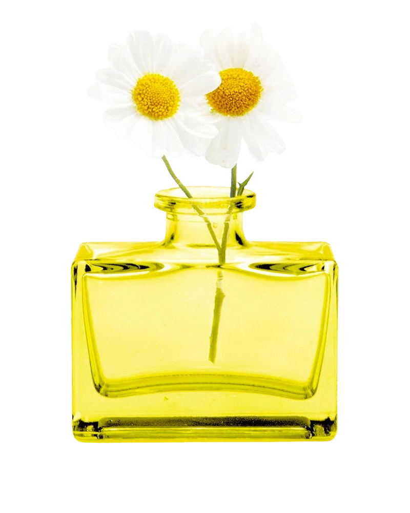 Chive Loft square glass bud vase in yellow styled with two small white daisy blooms.