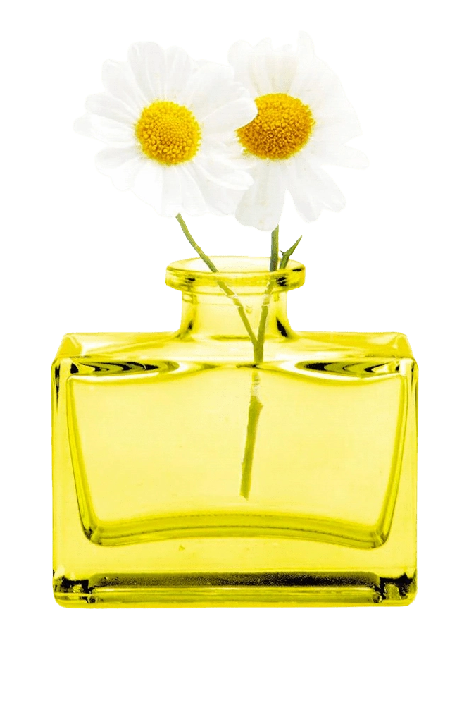 Chive Loft square glass bud vase in yellow styled with two small white daisy blooms.