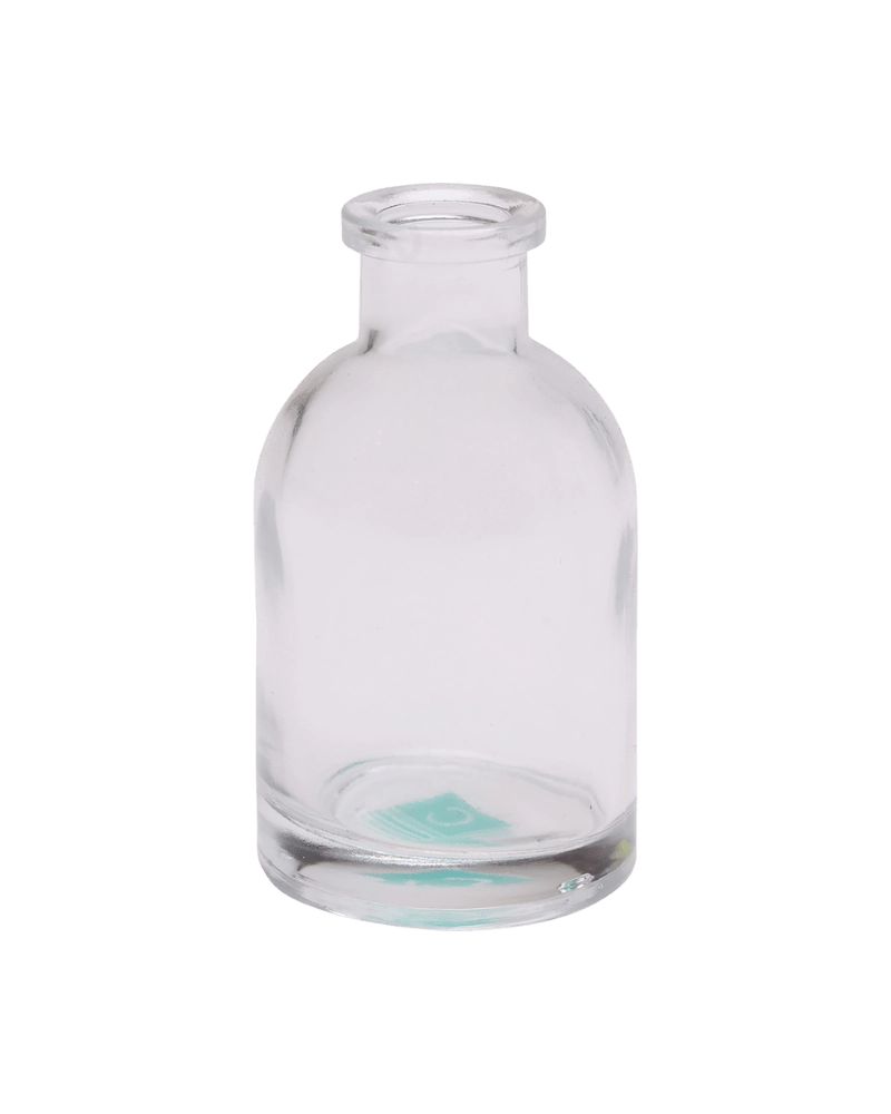 Chive Loft tall glass bud vase in clear glass with a slender neck and rounded shoulder.