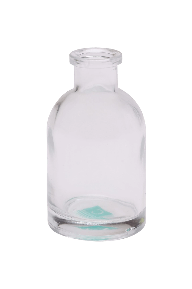 Chive Loft tall glass bud vase in clear glass with a slender neck and rounded shoulder.