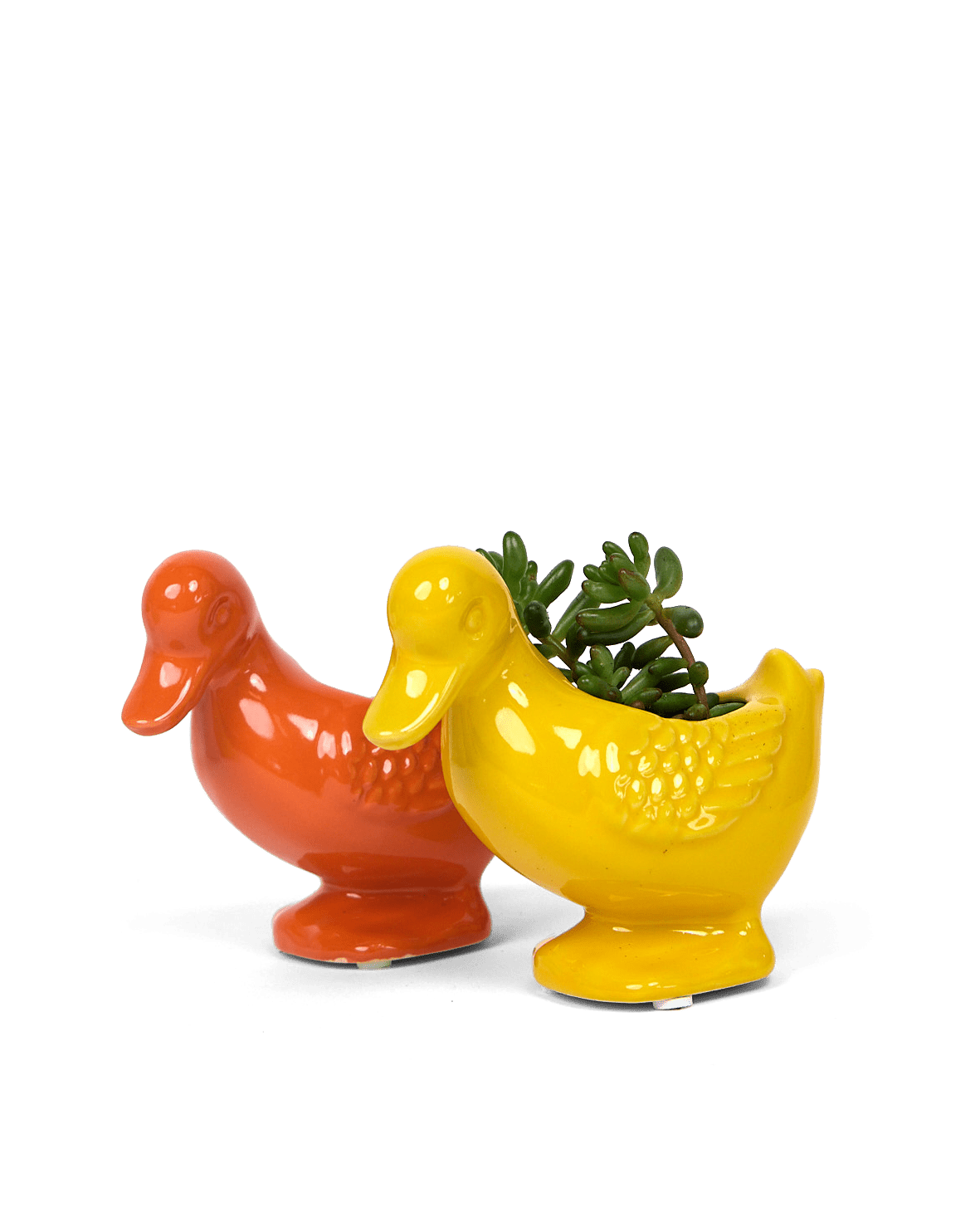 Duck Ceramic Indoor Plant Pot For Succulents - Chive Ceramics Studio - Pots - Chive US