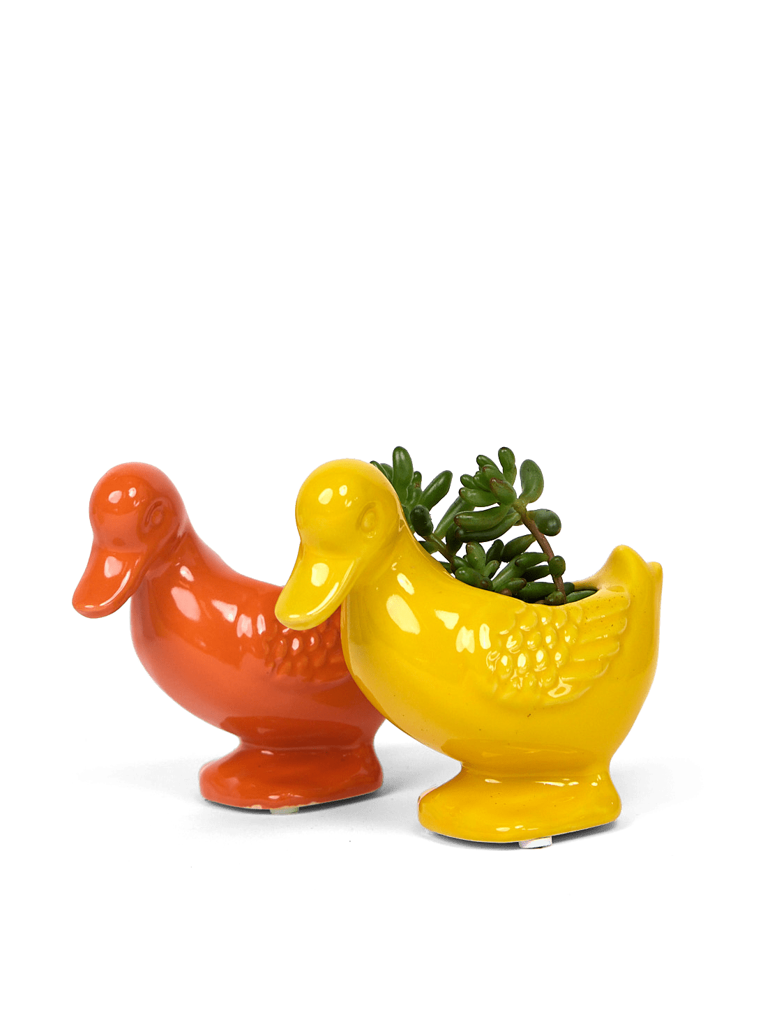 Duck Ceramic Indoor Plant Pot For Succulents - Chive Ceramics Studio - Pots - Chive US