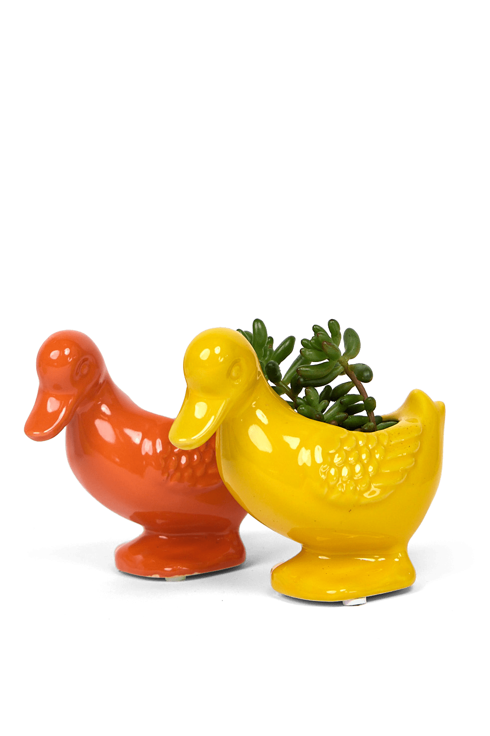 Duck Ceramic Indoor Plant Pot For Succulents - Chive Ceramics Studio - Pots - Chive US