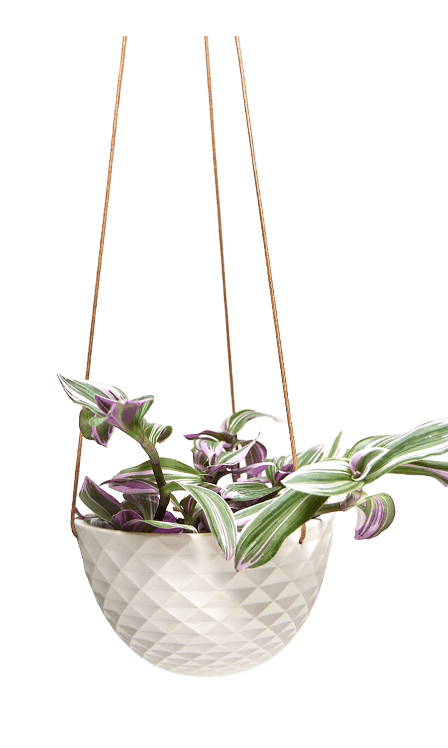 Mini Mofo Porcelain Modern Hanging Planter - Chive Ceramics Studio - Pots - Chive Wholesale