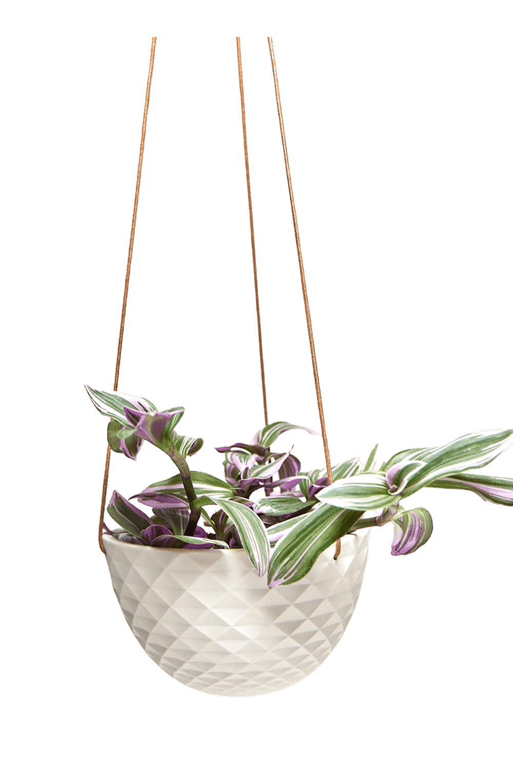 Mini Mofo Porcelain Modern Hanging Planter - Chive Ceramics Studio - Pots - Chive Wholesale