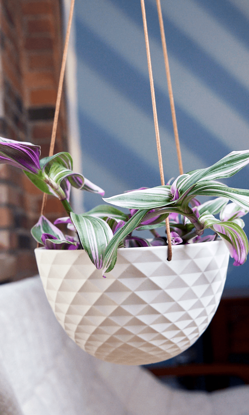 Mini Mofo Porcelain Modern Hanging Planter - Chive Ceramics Studio - Pots - Chive Ceramics Studio