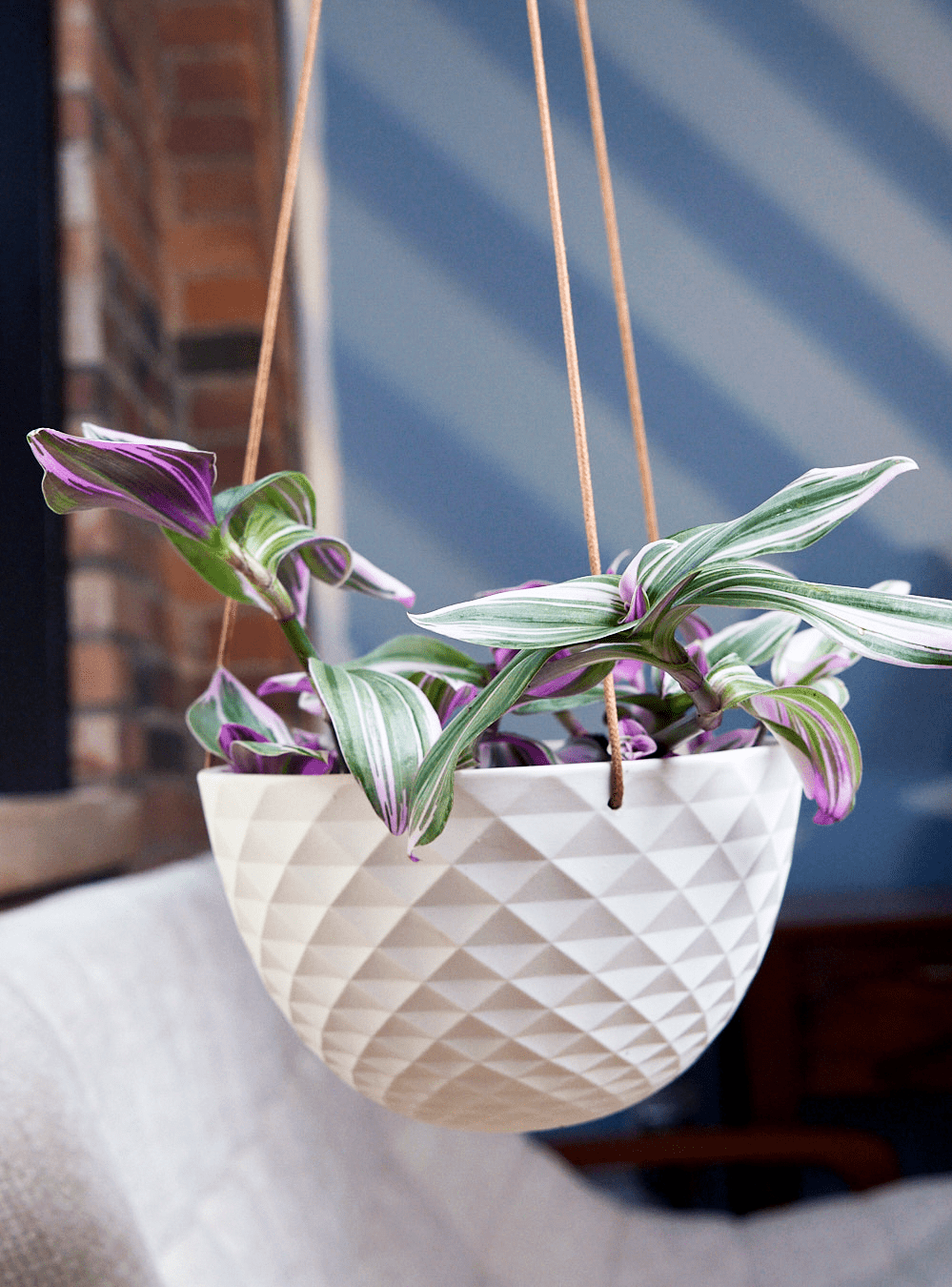 Mini Mofo Porcelain Modern Hanging Planter - Chive Ceramics Studio - Pots - Chive Ceramics Studio
