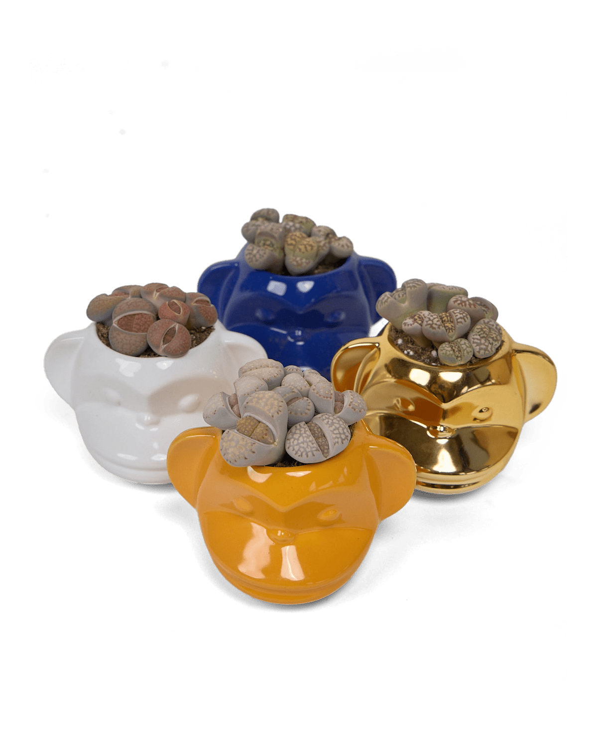 Funky Monkey Planter - Chive Ceramics Studio - Pots - Chive Ceramics Studio