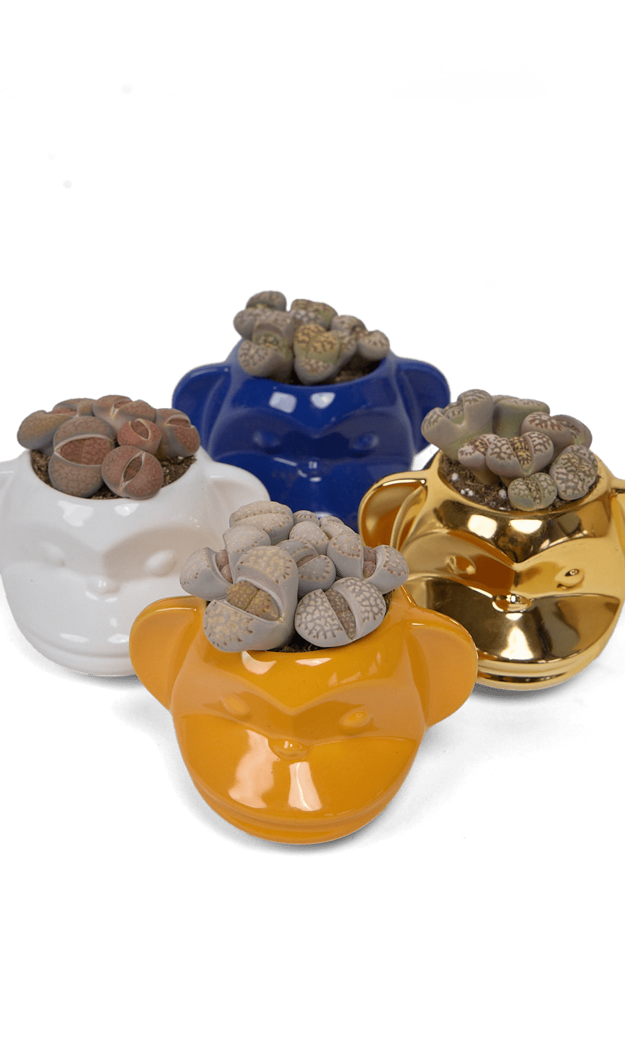 Funky Monkey Planter - Chive Ceramics Studio - Pots - Chive Ceramics Studio