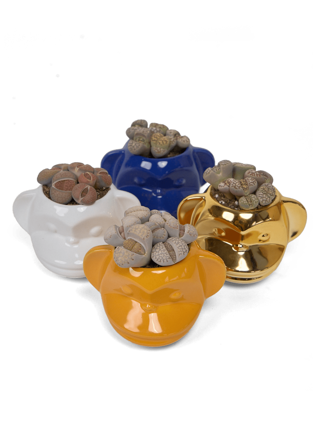 Funky Monkey Planter - Chive Ceramics Studio - Pots - Chive Ceramics Studio