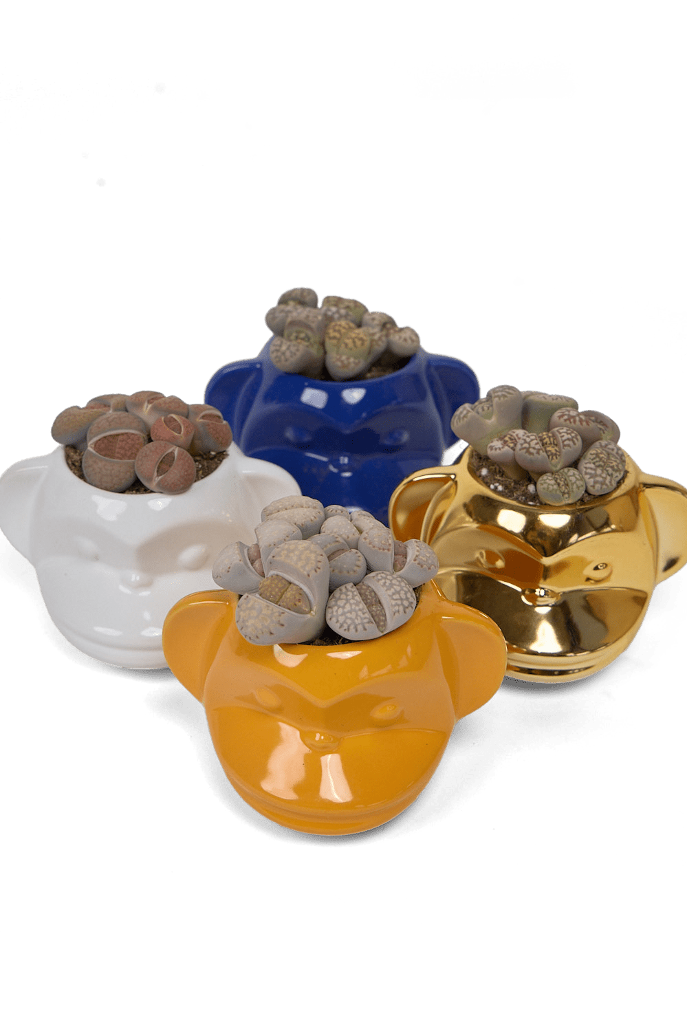 Funky Monkey Planter - Chive Ceramics Studio - Pots - Chive Ceramics Studio