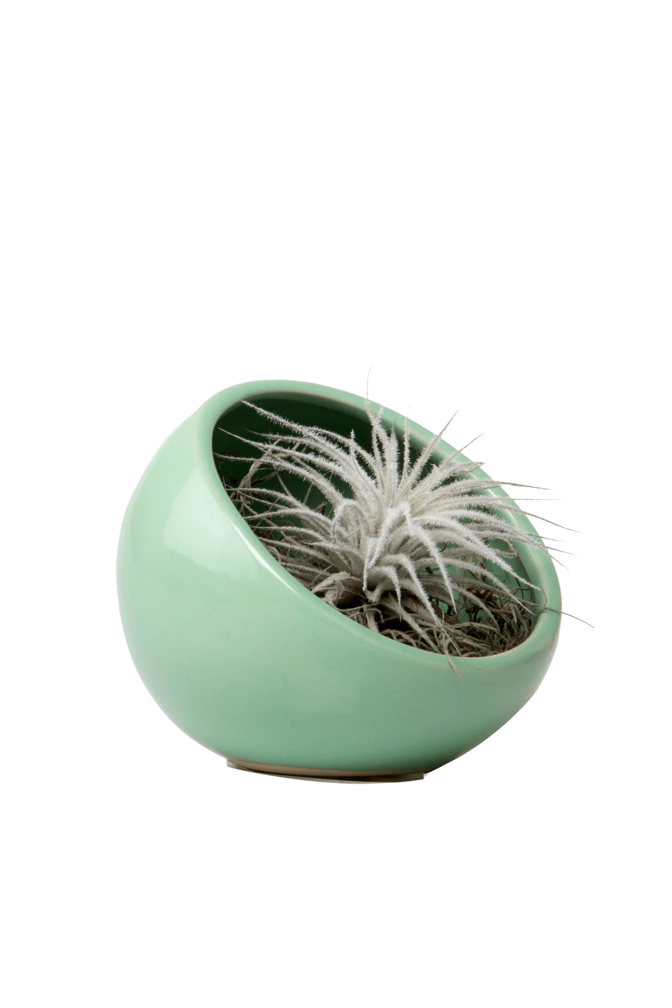 Half Moon Ceramic Terrarium Bowl - Chive Ceramics Studio - Pots - Chive US