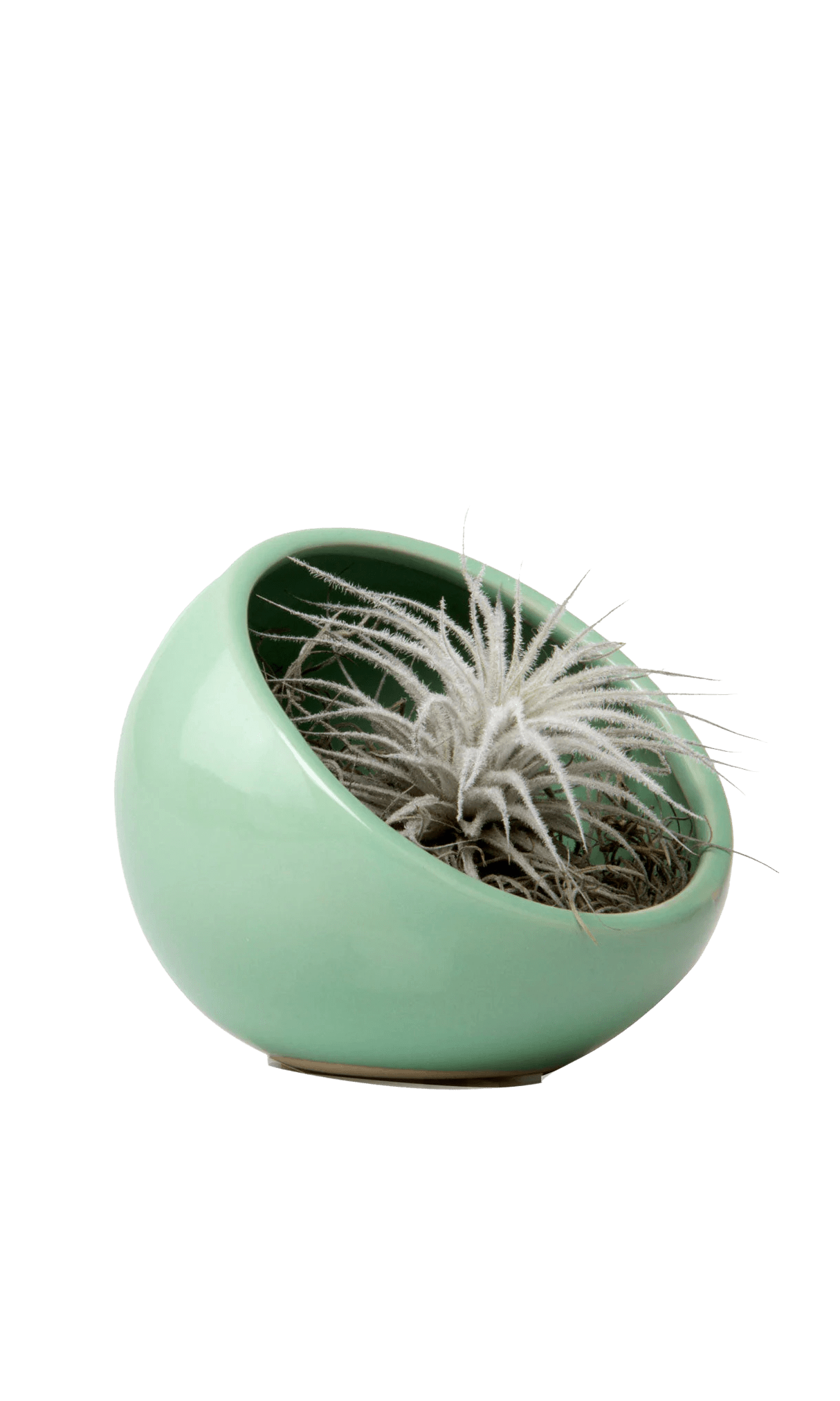 Half Moon Ceramic Terrarium Bowl - Chive Ceramics Studio - Pots - Chive US