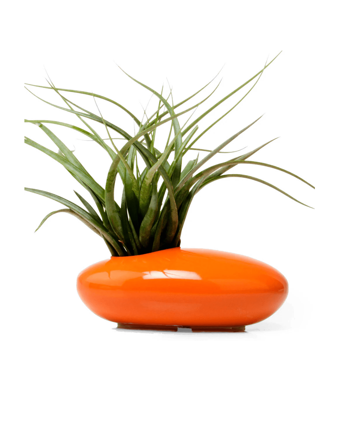 Pebble Ceramic Ikebana Kenzan Container - Chive Ceramics Studio - Pots - Chive US