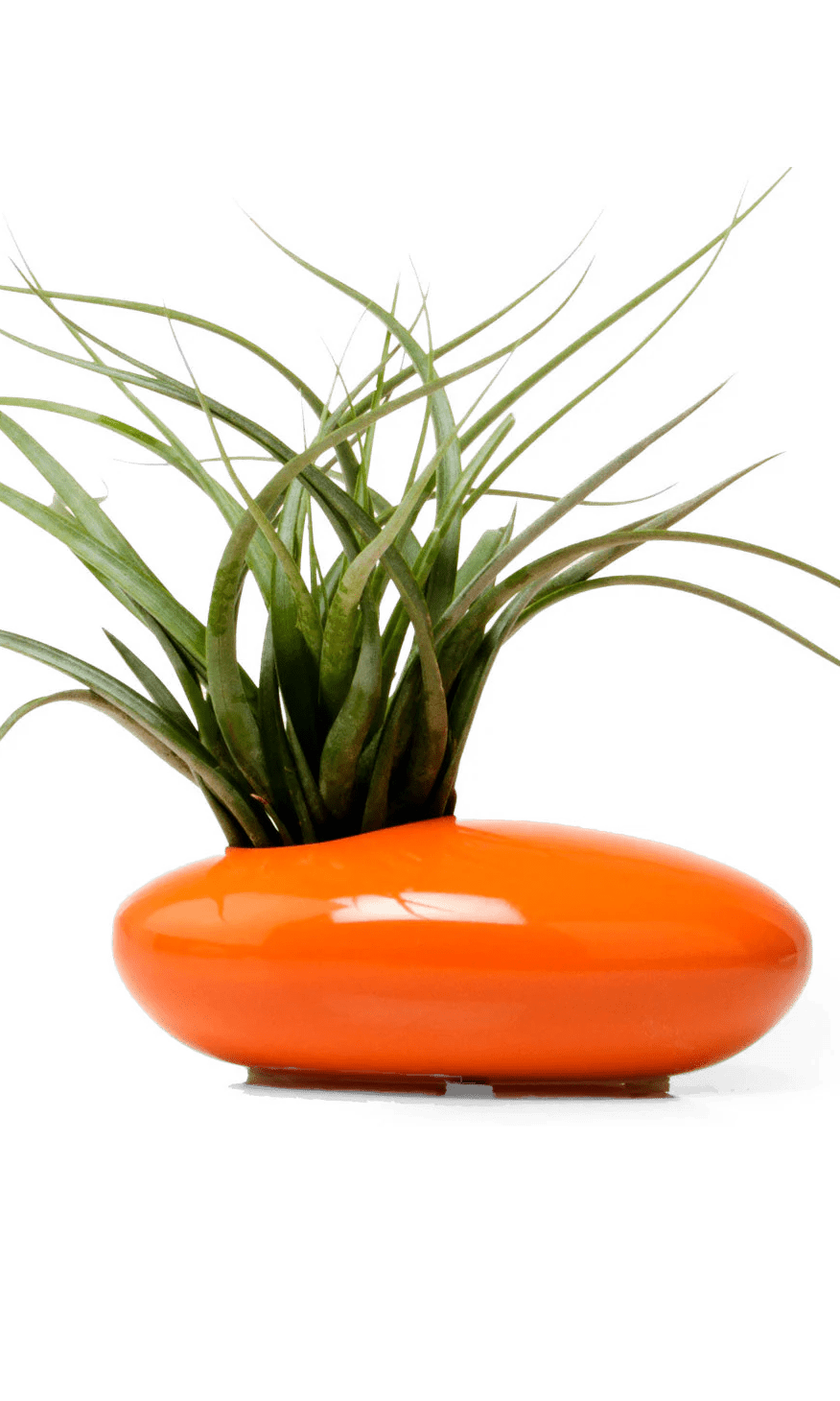 Pebble Ceramic Ikebana Kenzan Container - Chive Ceramics Studio - Pots - Chive US