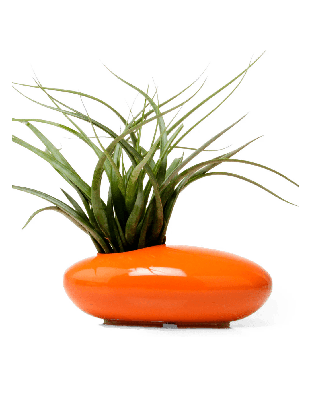 Pebble Ceramic Ikebana Kenzan Container - Chive Ceramics Studio - Pots - Chive US