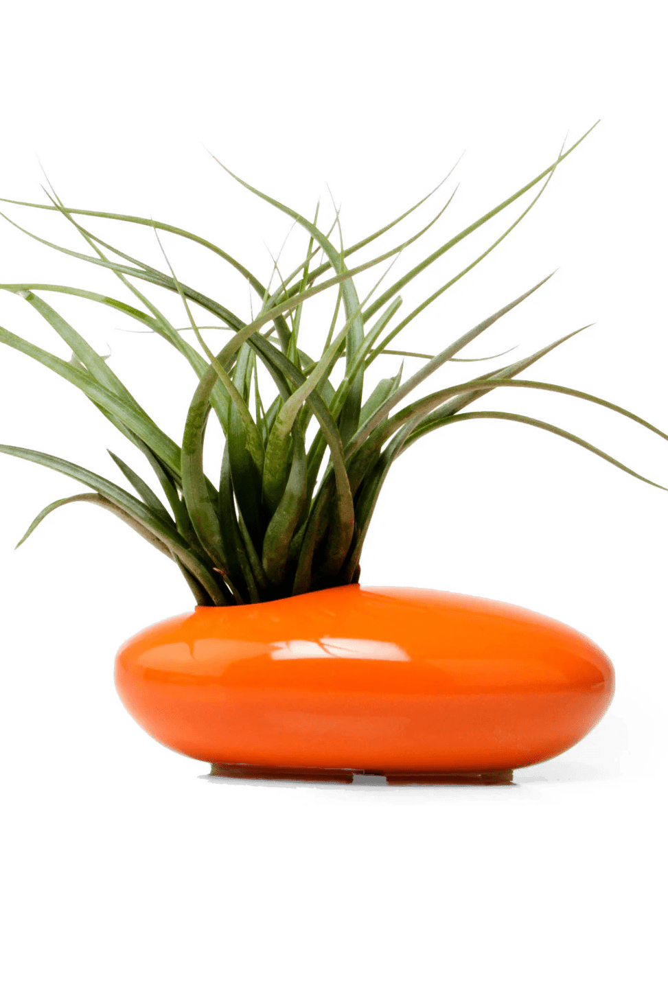 Pebble Ceramic Ikebana Kenzan Container - Chive Ceramics Studio - Pots - Chive US