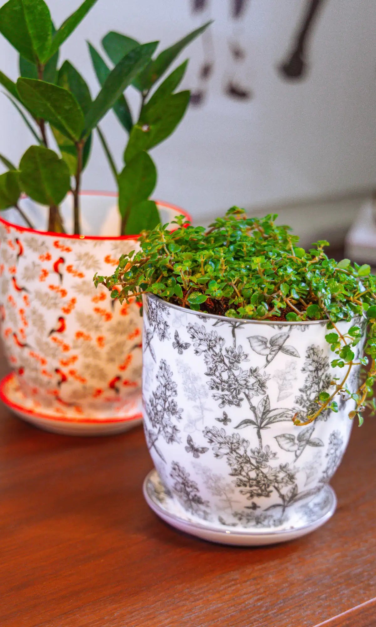 Chive Liberté small planters in grey forest and red birds prints, styled with baby tears and a ZZ plant on a wood surface.