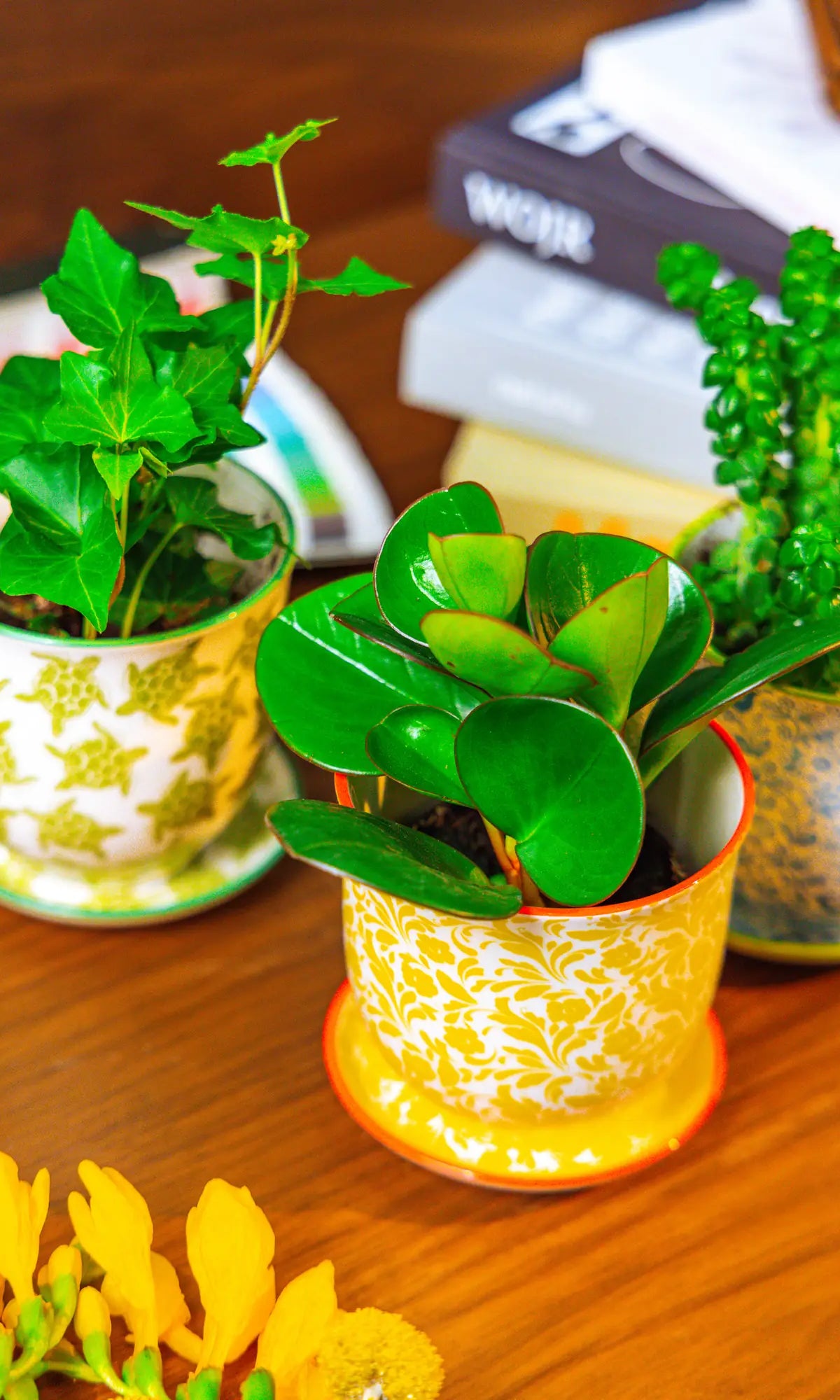 Chive Liberté small planters in yellow flowers, turtles, and blue birds prints, styled with a peperomia, ivy, and succulent.