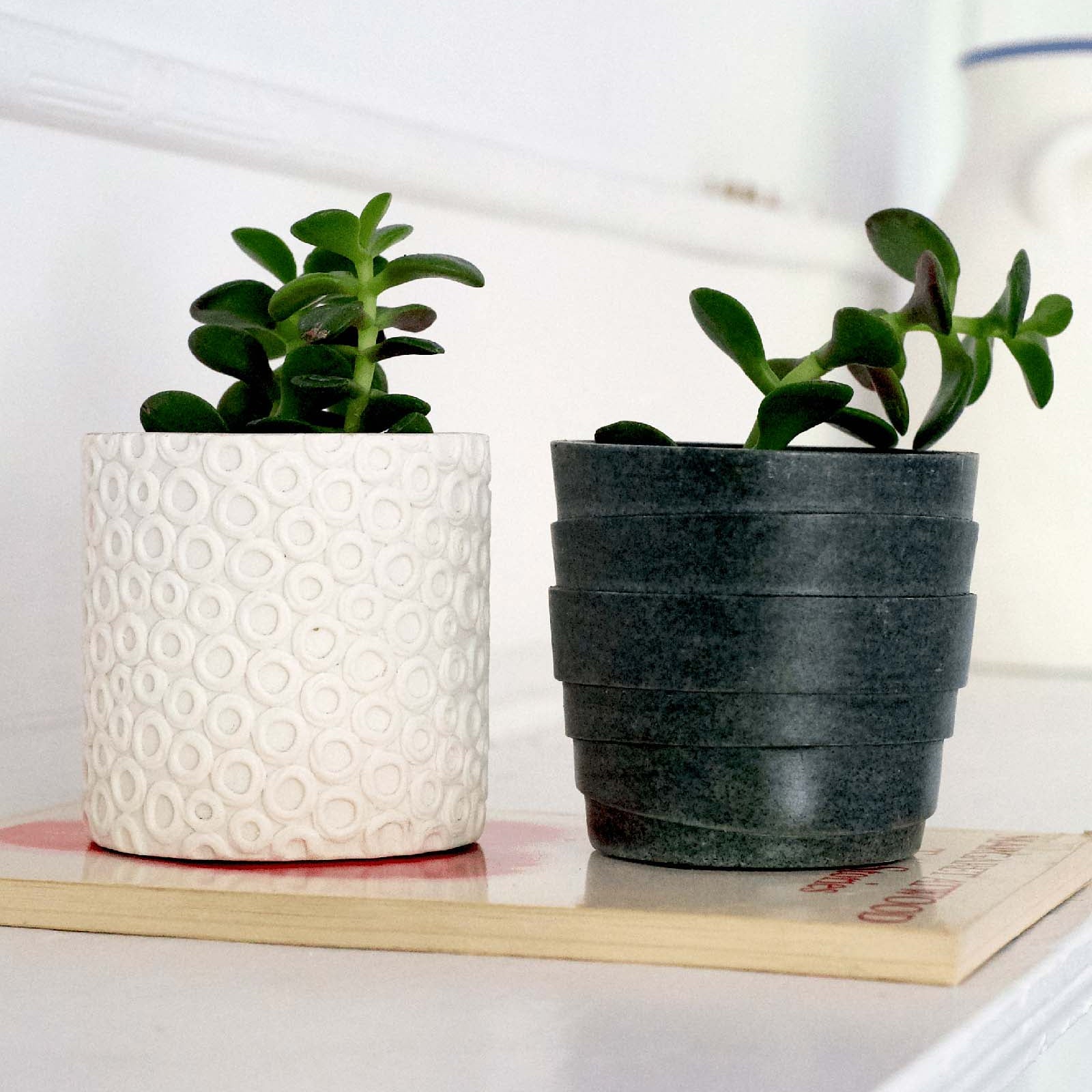 Stagma Resin Planter Pot - Chive Ceramics Studio - Pots - Chive US
