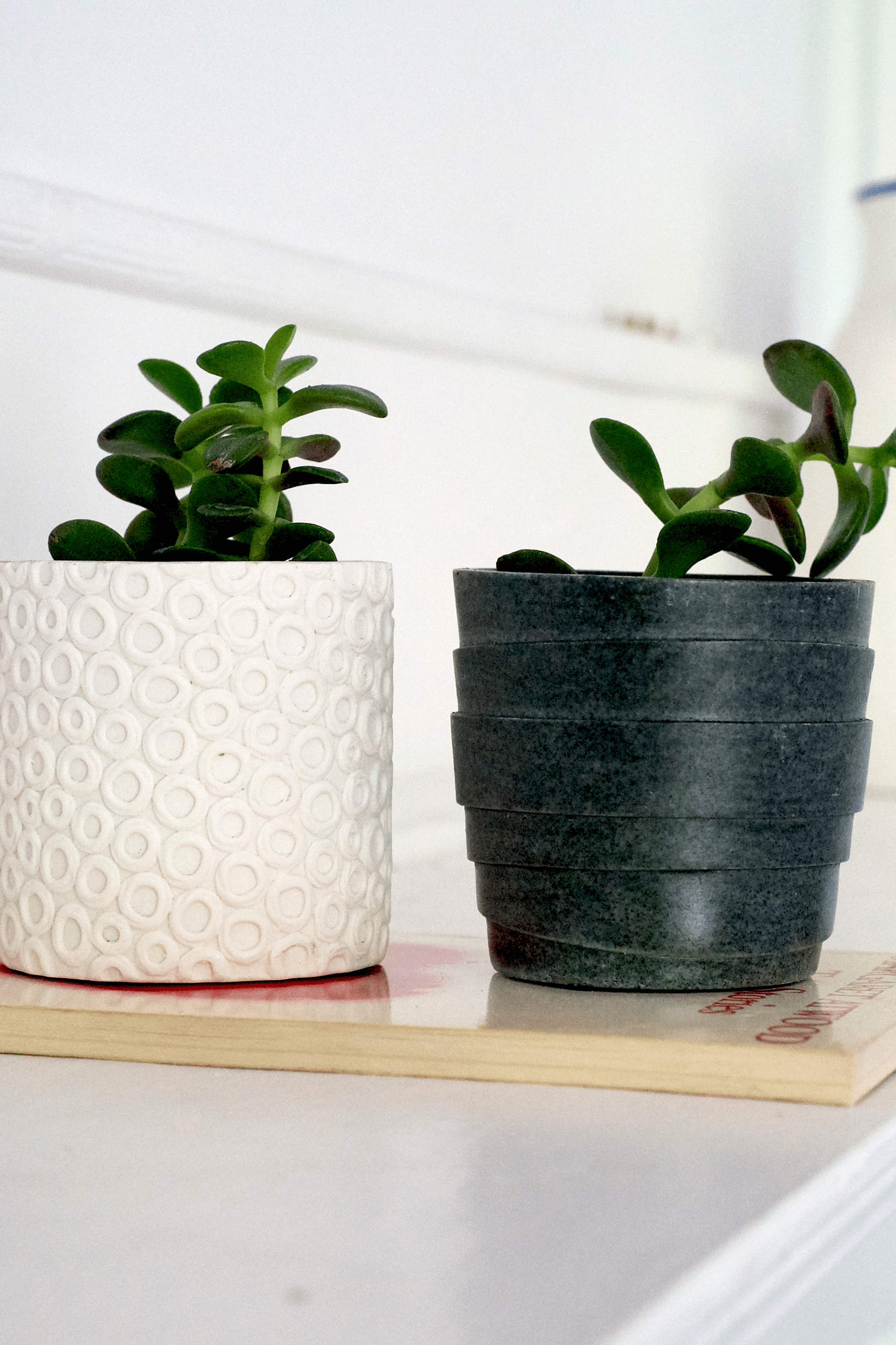 Stagma Resin Planter Pot - Chive Ceramics Studio - Pots - Chive US