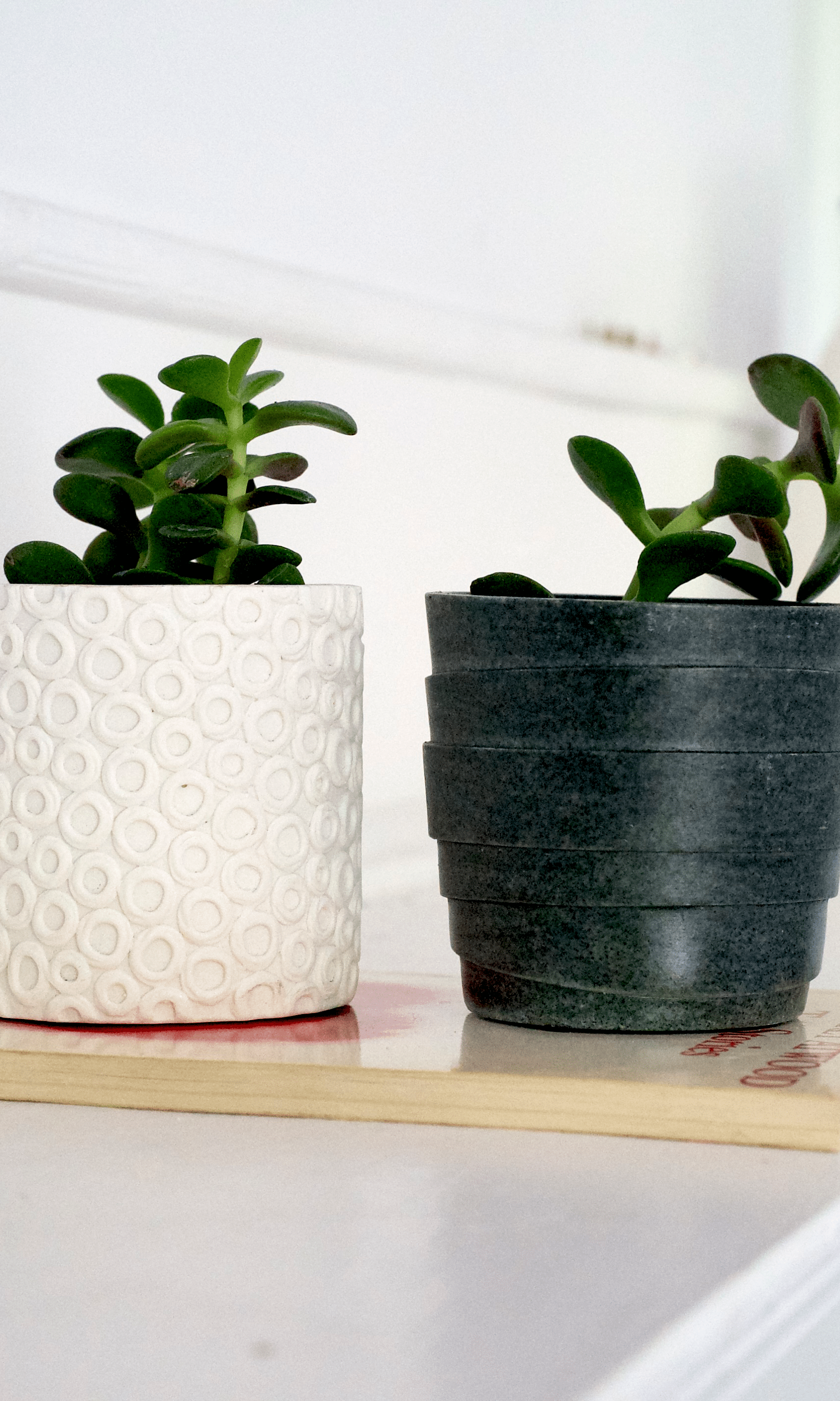 Stagma Resin Planter Pot - Chive Ceramics Studio - Pots - Chive US