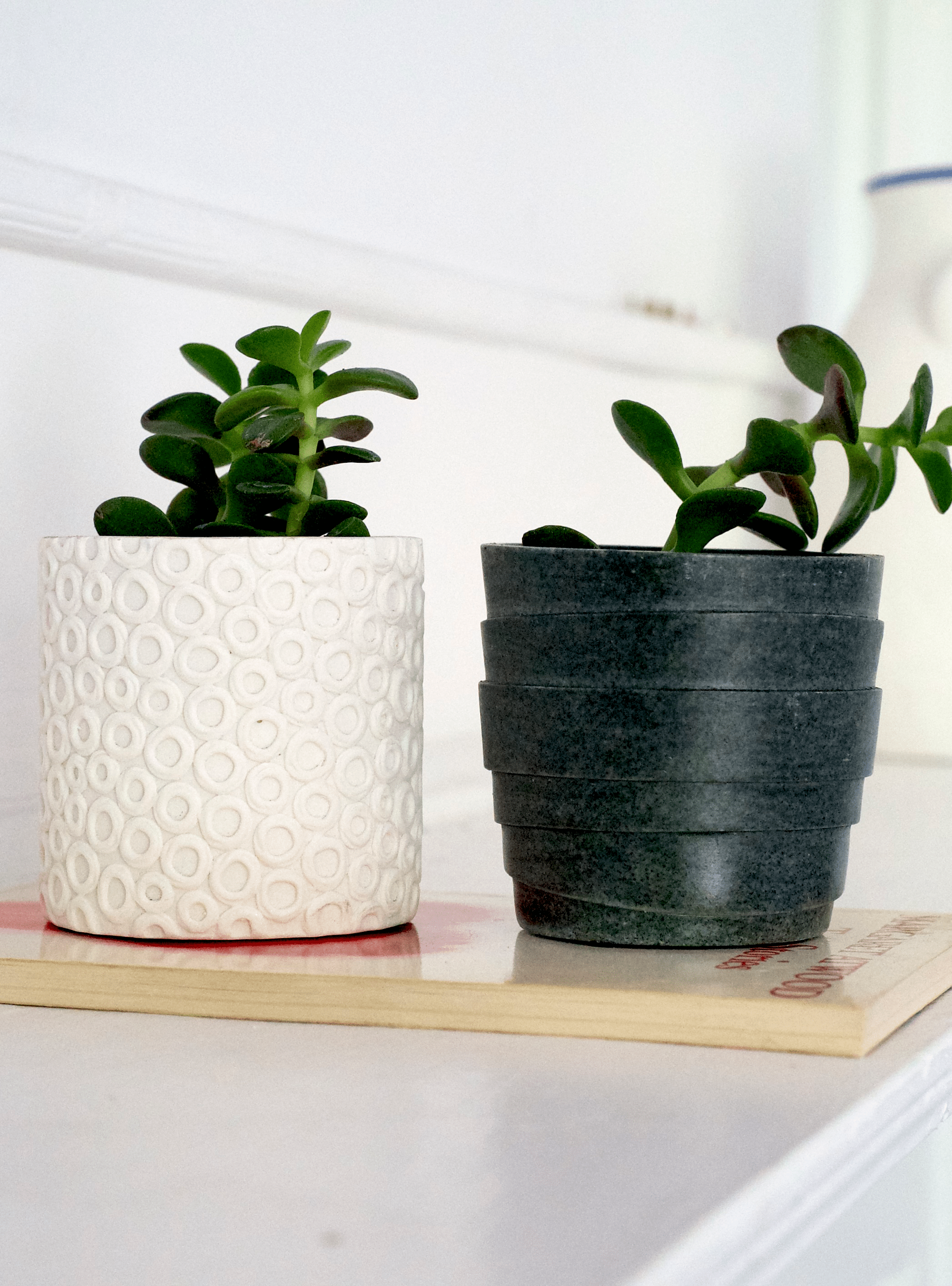 Stagma Resin Planter Pot - Chive Ceramics Studio - Pots - Chive US