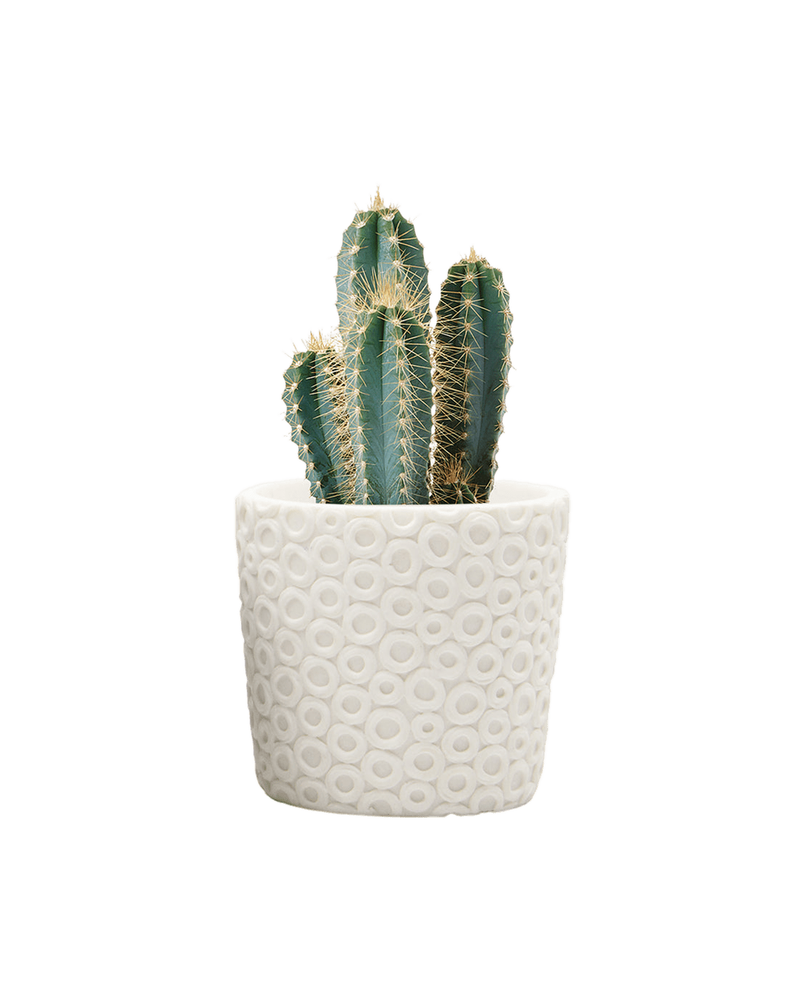 Stagma Resin Planter Pot - Chive Ceramics Studio - Pots - Chive US