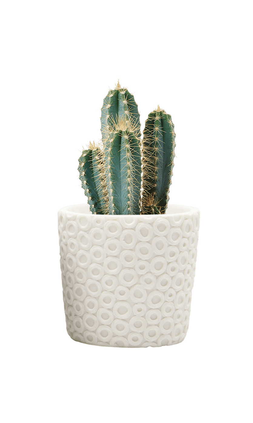 Stagma Resin Planter Pot - Chive Ceramics Studio - Pots - Chive US