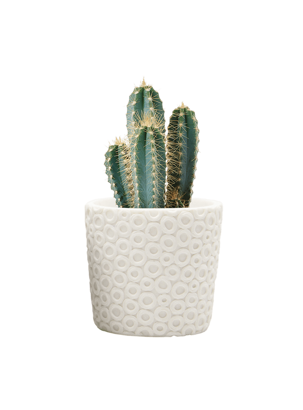 Stagma Resin Planter Pot - Chive Ceramics Studio - Pots - Chive US