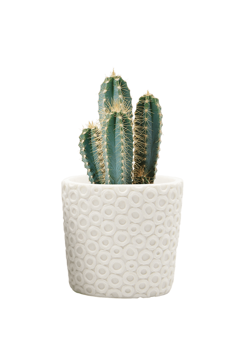 Stagma Resin Planter Pot - Chive Ceramics Studio - Pots - Chive US