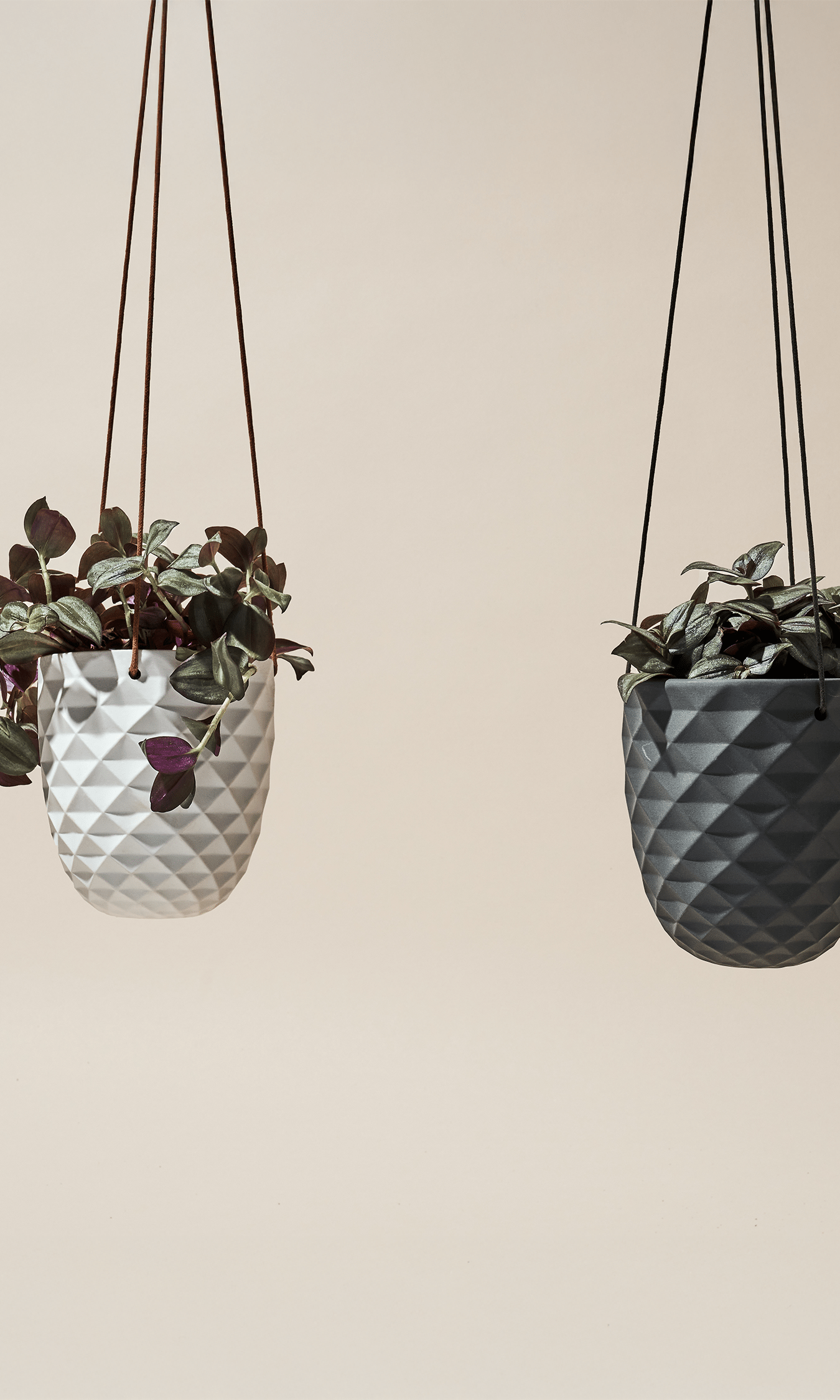 Thimble Porcelain Modern Hanging Planter - Chive Ceramics Studio - Pots - Chive US