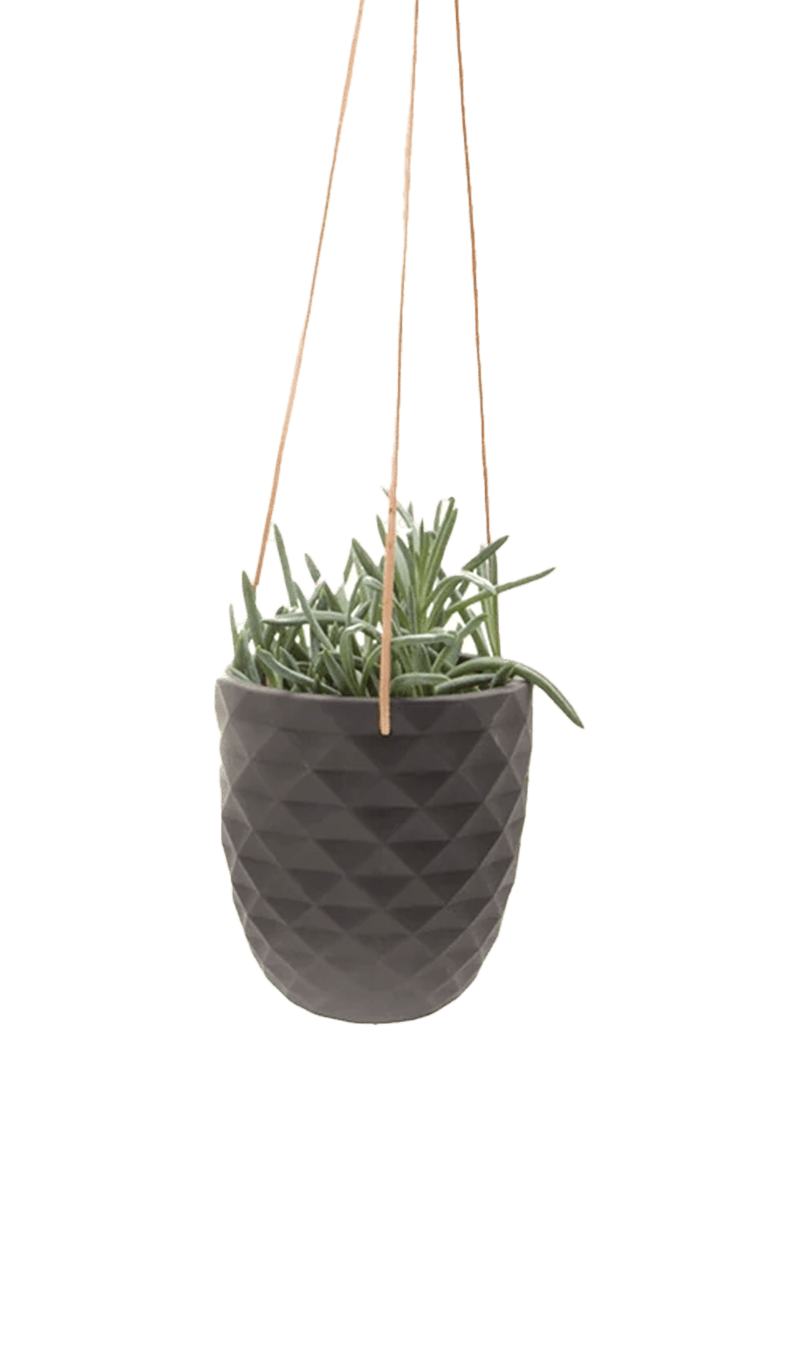 Thimble Porcelain Modern Hanging Planter - Chive Ceramics Studio - Pots - Chive US