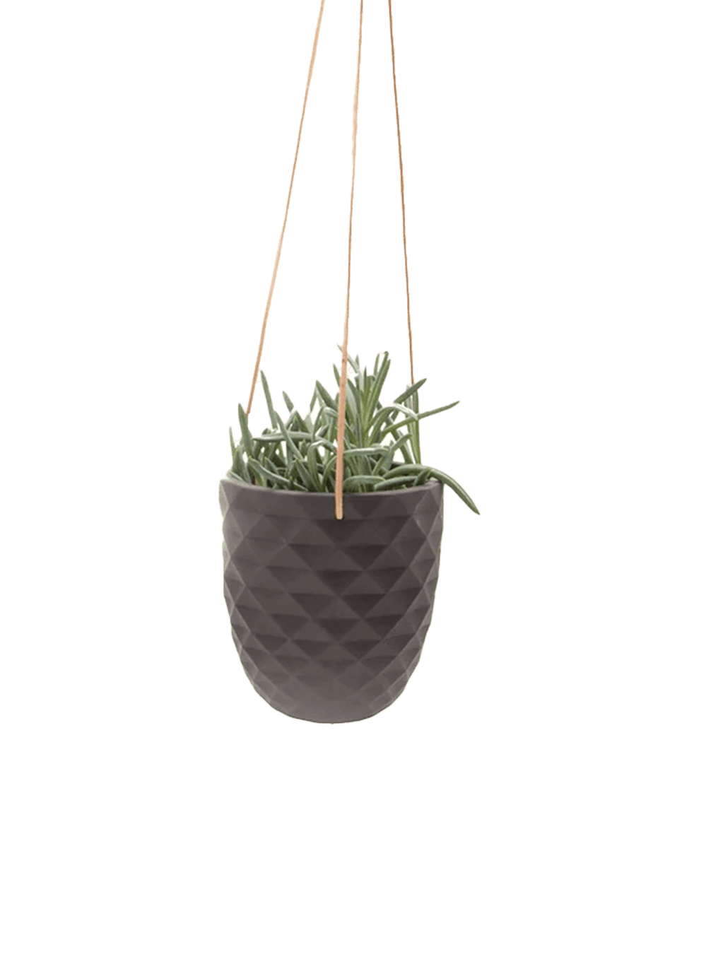 Thimble Porcelain Modern Hanging Planter - Chive Ceramics Studio - Pots - Chive US